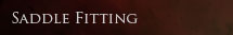 Saddle Fitting
