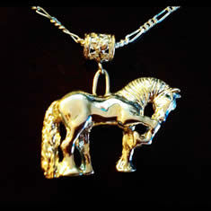 Silver Rommelus