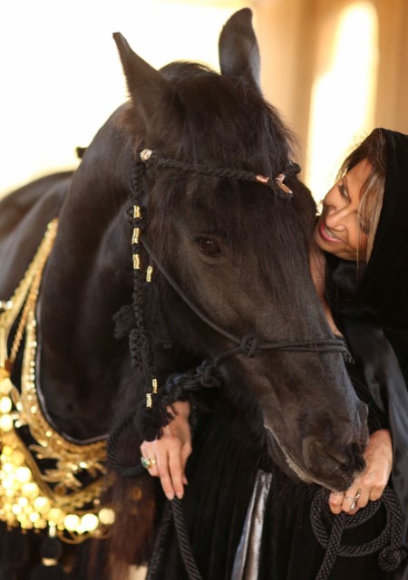 Friesian